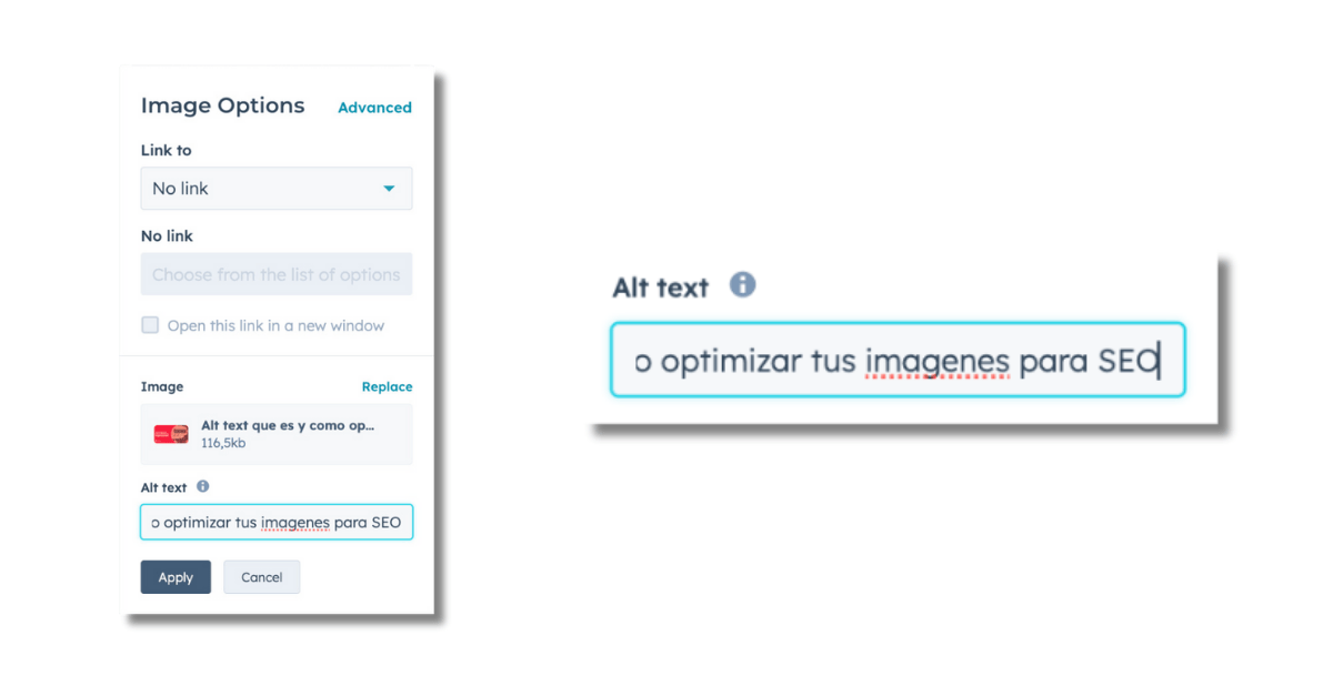 Alt text que es y como optimizar tus imagenes para SEO  (2)