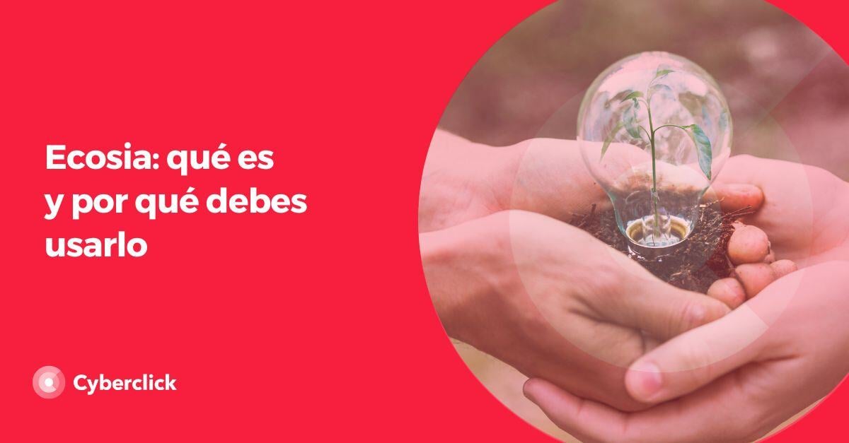 Ecosia_ que es y por que debes usarlo