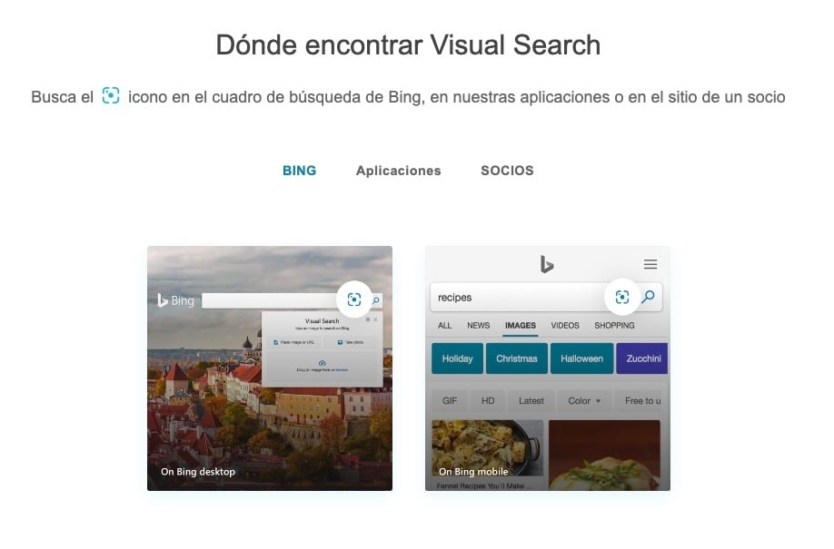 Microsoft Bing Visual Search